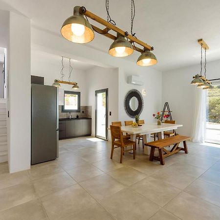 Paros Villa Blue Senses Alikí Exteriér fotografie