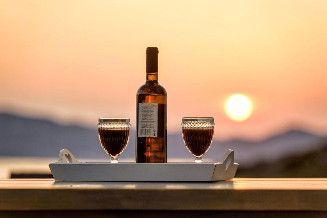 Paros Villa Blue Senses Alikí Exteriér fotografie